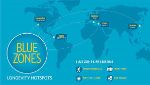 Blue Zone Lifestyle