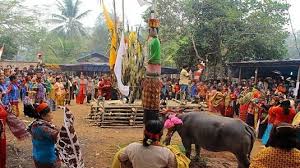Cultural Immersion