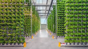 Vertical Farming